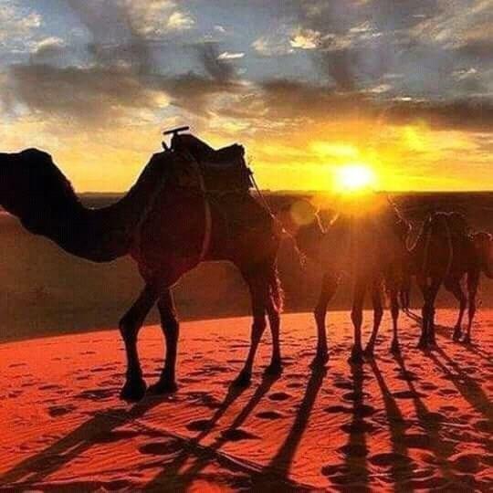 Hotel Bivouac Erg Znaigui Merzouga Exterior foto